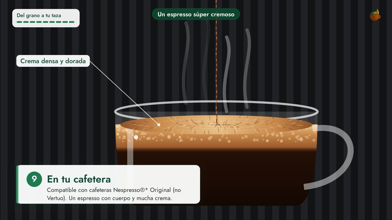 Espresso cremoso en taza de cristal